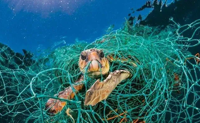 OBP海洋塑料认证对海洋垃圾污染回收来源监管要求