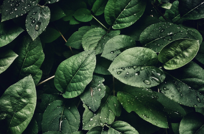 ISO14021环境标签声明标准对企业自我环境评估要求规范
